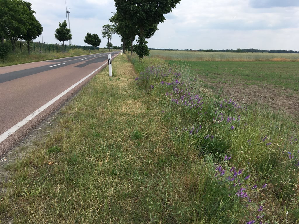 Die Straßenränder müssen kurz gehalten werden, um Verkehrssicherheit zu gewährleisten.