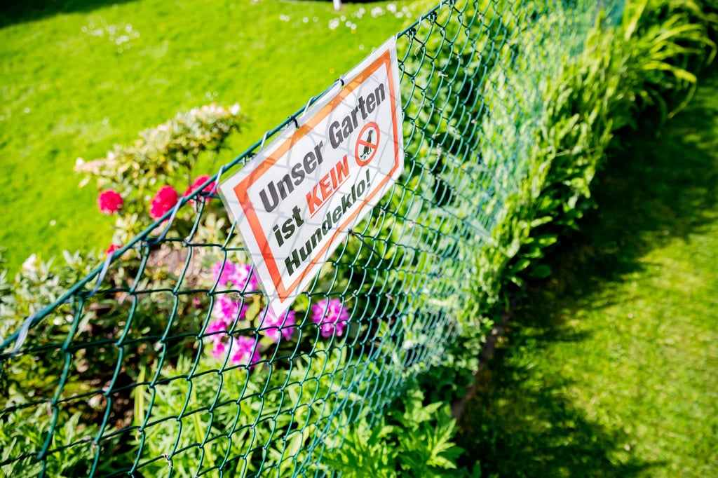 In Sachsen-Anhalt ist die Zahl der Schiedsverfahren im Corona-Jahr 2020 gestiegen