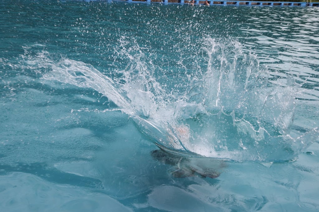Stefan aus Gotha springt im Südbad in das Wasser.