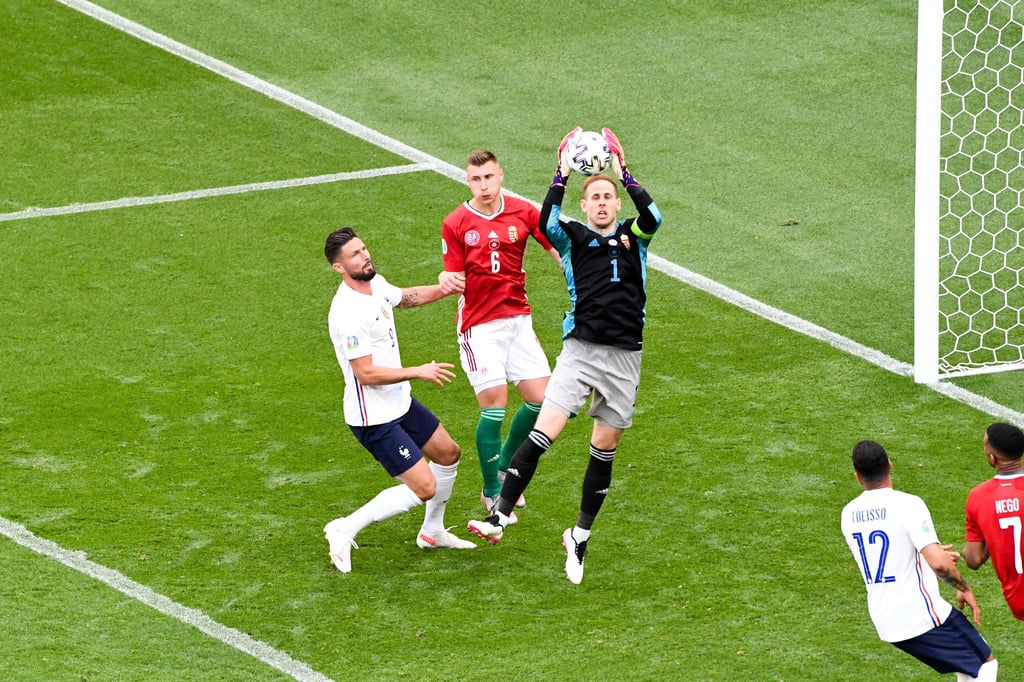 Ungarn hat überraschend einen Pubnkt gegen Frankreich geholt.
