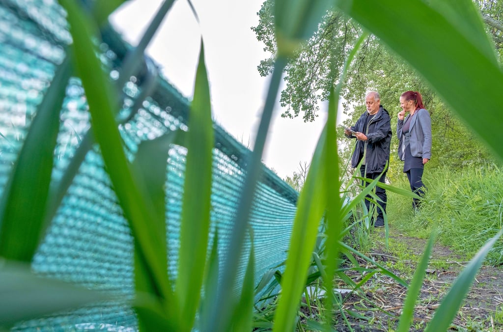 Stippvisite am Krötenzaun: Naturschützer Ralf Meyer und Rechtsanwältin Franziska Heß begutachten das Amphibienhabitat unweit der B6n.