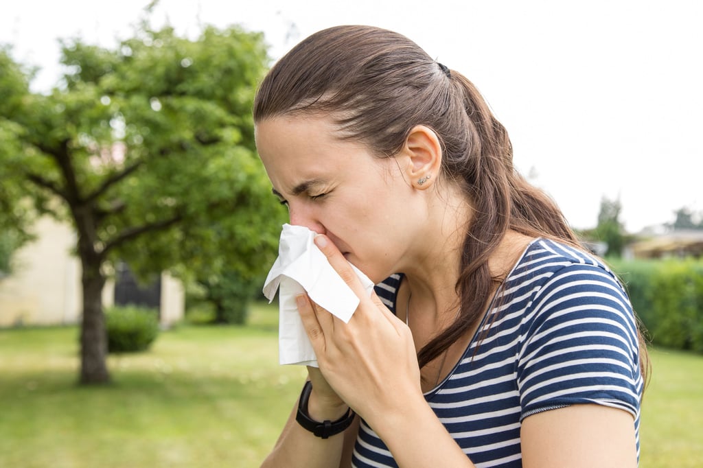 Die Ohren jucken, die Nase trieft: Eine Allergie ist für die meisten Menschen eine leidige Angelegenheit.