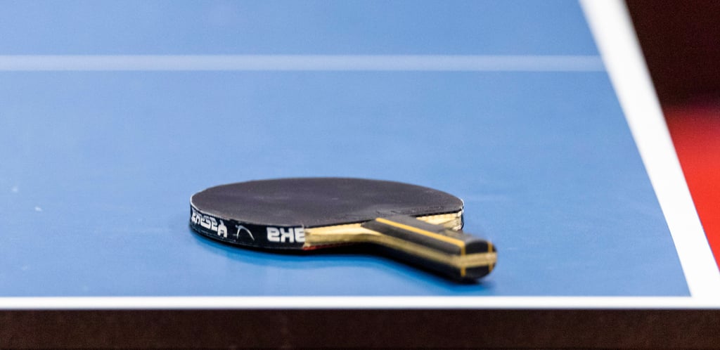 Tischtennisverband Sachsen-Anhalt sucht einen neuen Bufdi