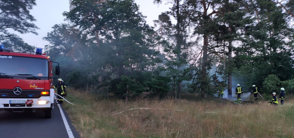 Nahe Badetz steht am Freitagabend (18. Juni) ein kleines Waldstück in Flammen.