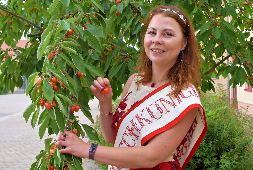 Die heutige Kirschkönigin Astrid kostet die Kirschen vom Baum der ersten Kirschkönigin Christin, die 2008 gekrönt wurde.