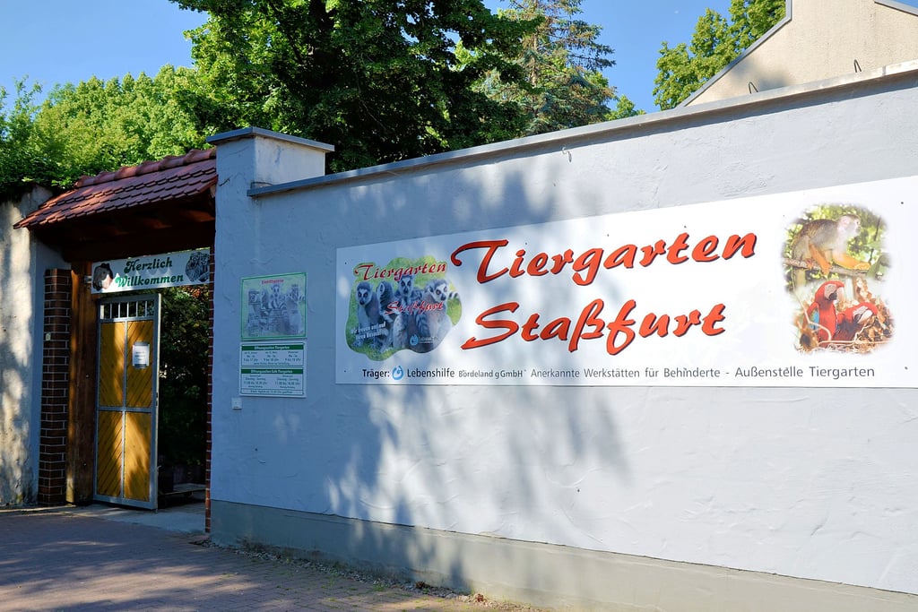 Der Staßfurter Tiergarten liegt mitten in der Stadt. Pro Jahr wird er von etwa 60 000 Menschen besucht.