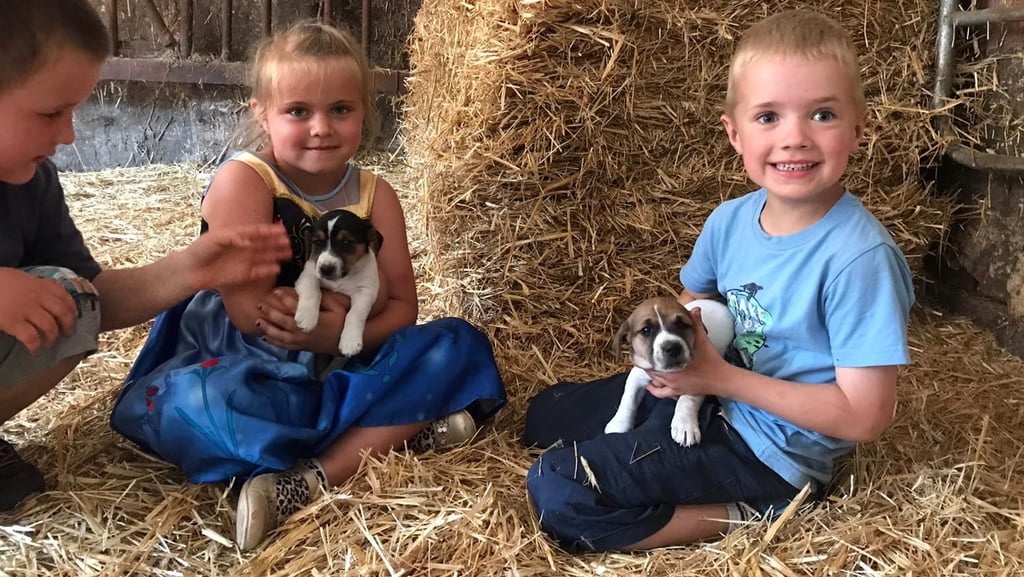 Auf dem Hof von Micha Berner waren die kleinen Hunde die Lieblinge der Kinder.