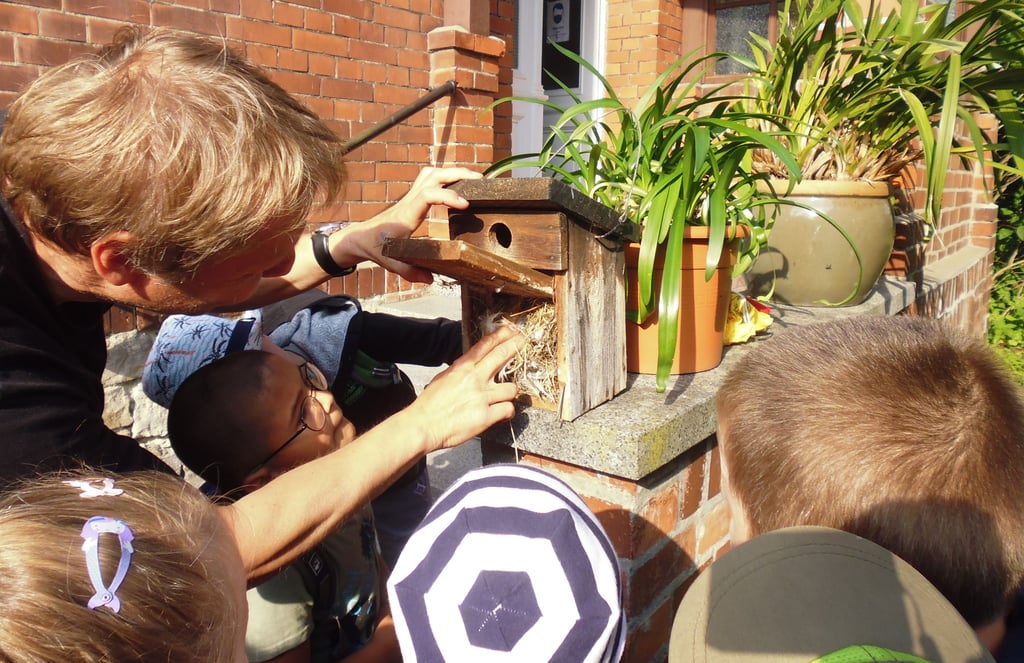 Einen Blick in den Nistkasten warfen die Kinder mit dem Mitarbeiter der Vogelschutzwarte Steckby.