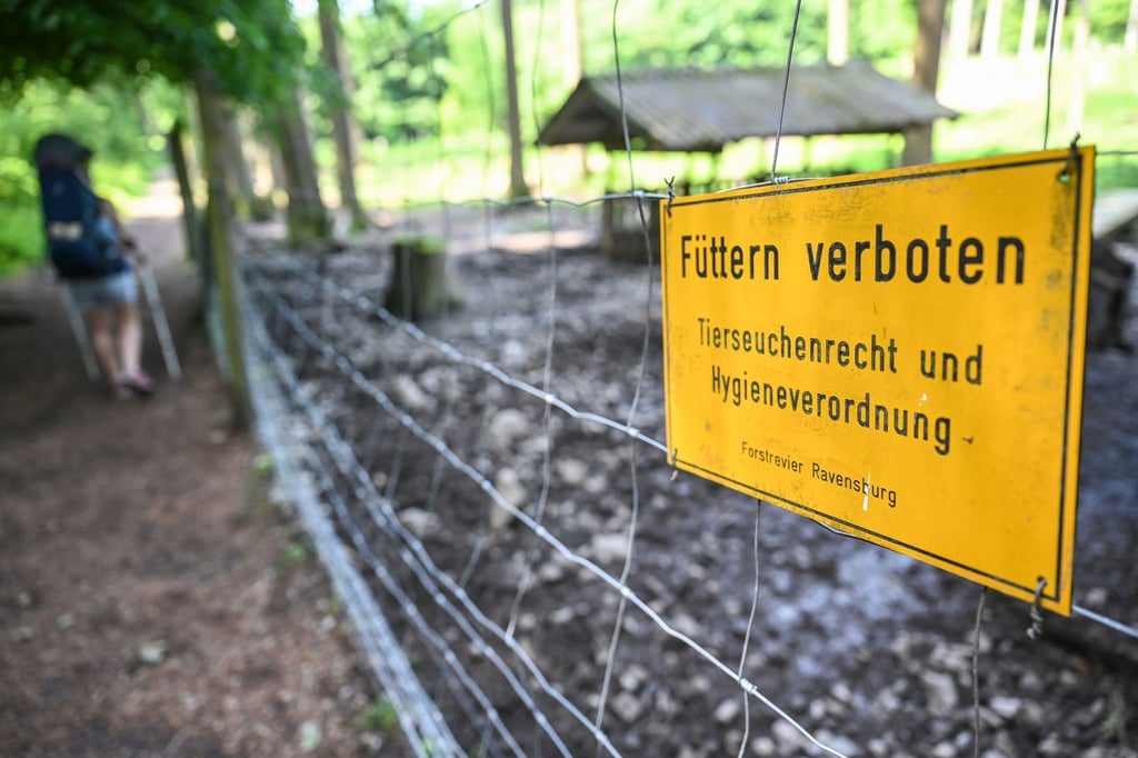 Im Wildgehege am Stadtrand von Ravensburg ist das Füttern von Wildschweinen verboten.
