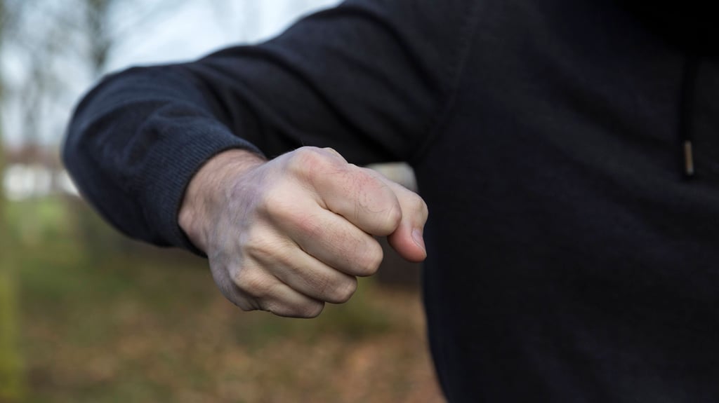 Ein 30-Jähriger randalierte am Sonntagmorgen in einer Magdeburger Pension.