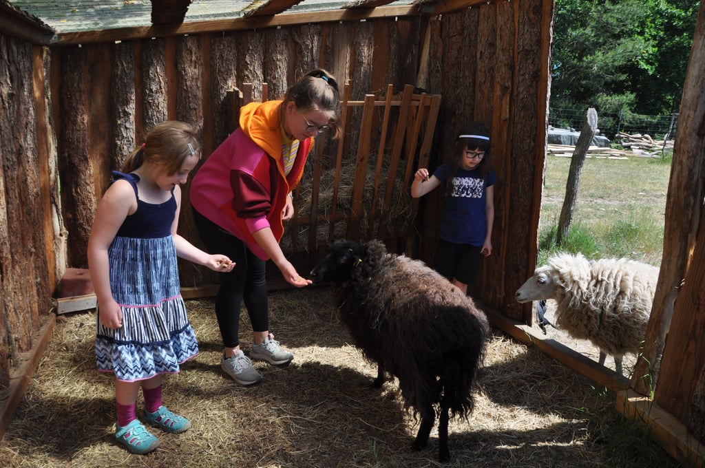 Ob Hühner, Kaninchen oder die beiden Schafe Molli und Wolli – Pauline Rauls kümmert sich gern auch um die Tiere und hat dabei immer Kinder, wie hier Martha (8, links) und Livia (7), um sich.