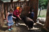 Ob Hühner, Kaninchen oder die beiden Schafe Molli und Wolli – Pauline Rauls kümmert sich gern auch um die Tiere und hat dabei immer Kinder, wie hier Martha (8, links) und Livia (7), um sich. 