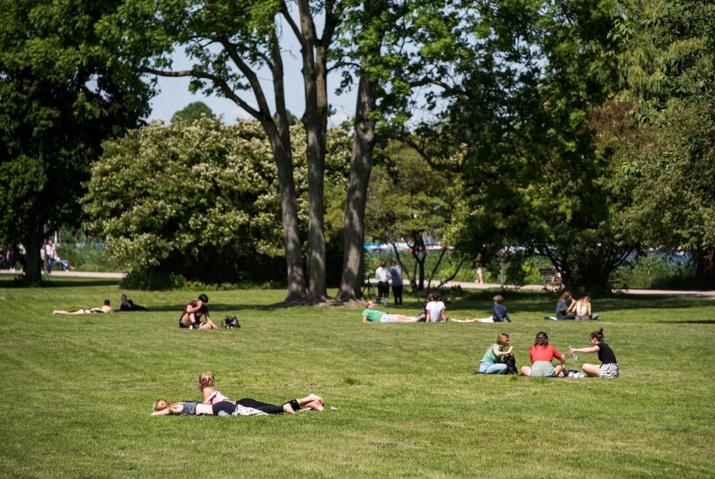 Menschen genießen auf den Alsterwiesen die Sonne.