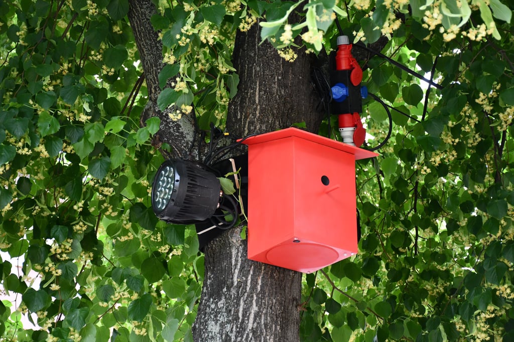 Vogelhäuser wurden als Licht-und Klanginstallation am Moritzplatz in Magdeburg-Neustadt installiert.