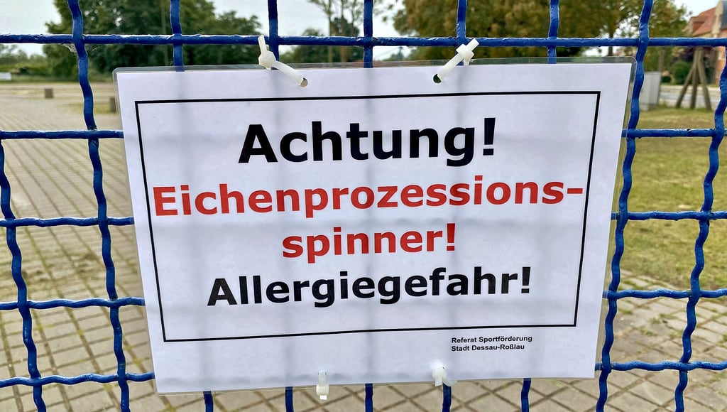 Bereiche und Sportplätze rund um das Stadion waren bereits in der vergangenen Woche wegen des Spinners gesperrt worden.
