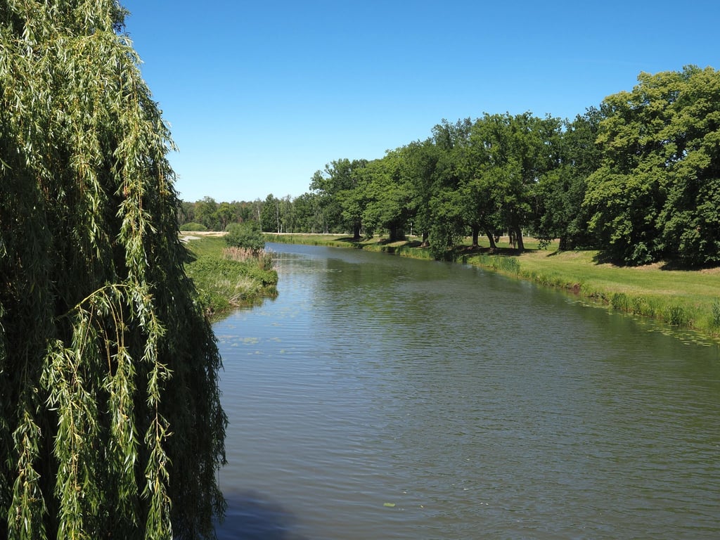Der Fluss Schwarze Elster nahe der Ortsmitte.