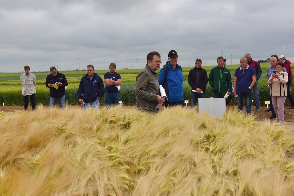 Stationsleiter Thomas Aschenbrenner informiert die Landwirte über die laufenden Sortenversuche hier in der Wintergerste.