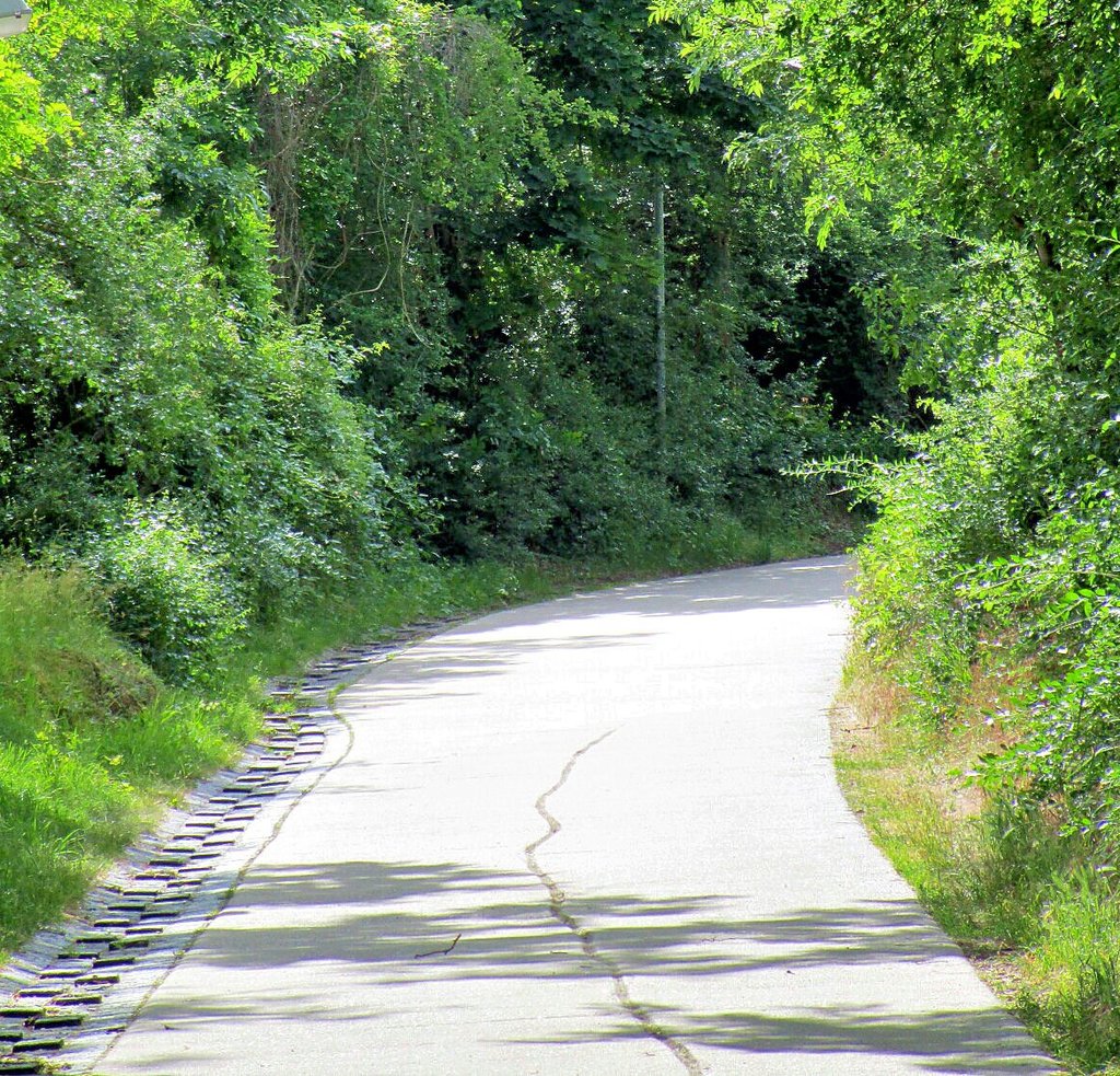 Der Sülzeradweg führt bei Sülldorf gut ausgebaut durch den Wald in Richtung Steinbruch.