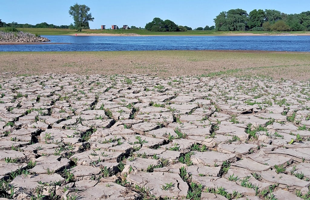 Die Elbe bei Neukirchen im Sommer 2020 ist nur noch ein Schatten ihrer selbst. In den beiden Trockejahren 2018 und 2019 war das Flussbett an einigen Stellen sogar so asugetrocknet, dass man den ?Fluss? zu Fuß überqueren konnte.