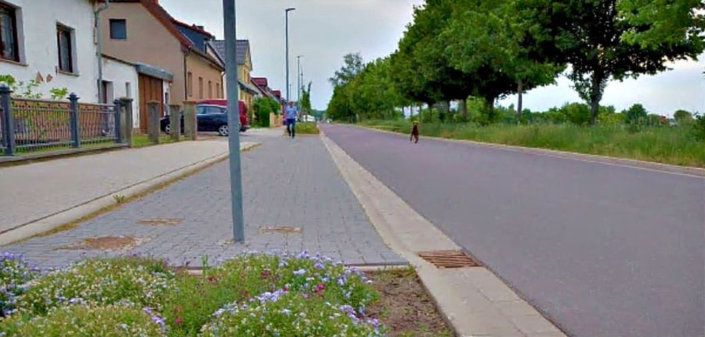 Vor einigen Woche ging es um die Rathmannsdorfer Straße in Neundorf, wo die Ortspolitik die Anwohner schonen wollte. Der Stadtrat hat anders entschieden.