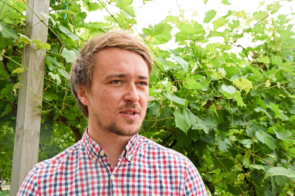 Felix Wohlrab und der Wein: Ab August ist wieder Weinsommer auf der Eine-Terrasse angesagt.