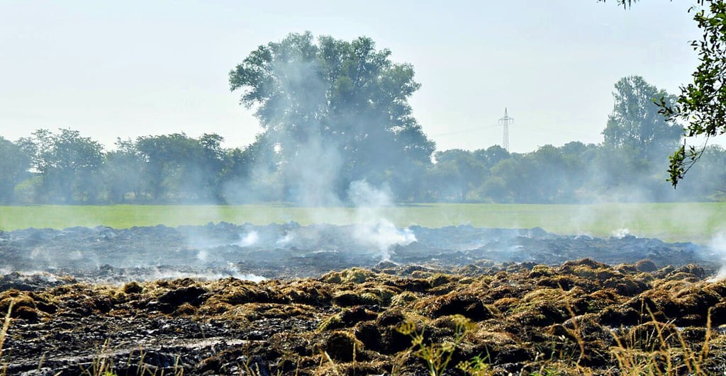 Immer wieder flammten die in der Nacht bereits abgelöschten Heuballen auf. Auch morgens qualmte der Acker noch heftig.