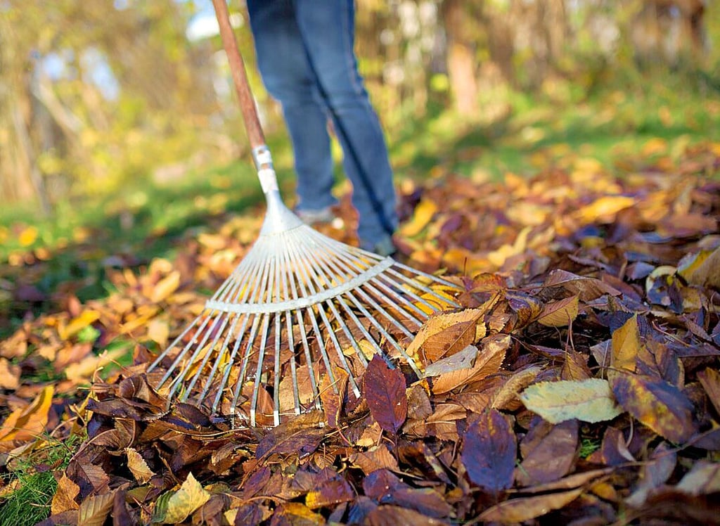 Im Herbst fällt eine ordentliche Menge Laub an, das meist die Anlieger entsorgen müssen.
