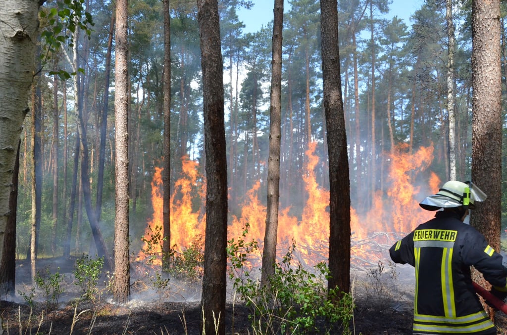 Acht Wehren mit 84 Aktiven waren beim Waldbrand zwischen Schönfeld und Wulkau im Einsatz.