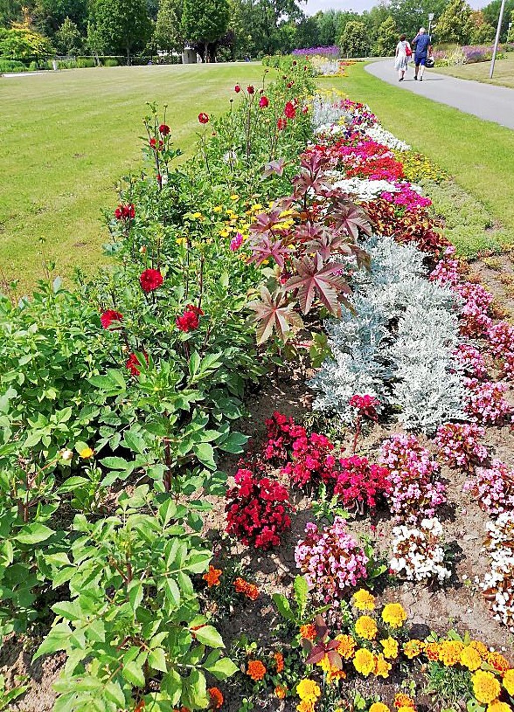 Im Zeitzer Schlosspark blüht es schön bunt.