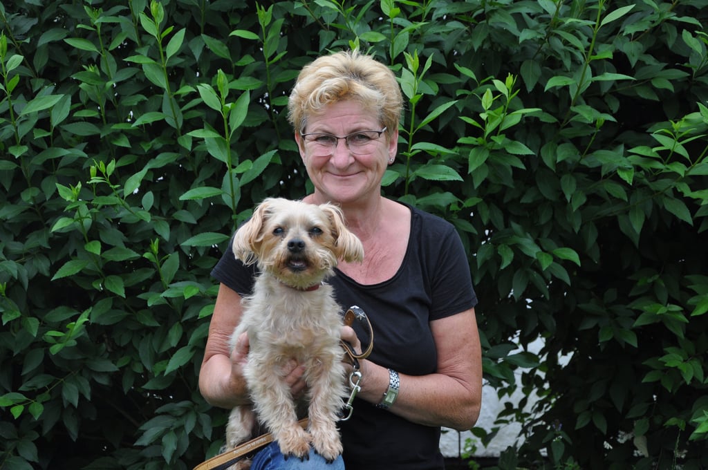 Anita Diedrich, die stellvertretende Leiterin des Magdeburger Tierheims, zeigt hier "Timi". Der zehnjährige Yorkshire-Terrier-Mischling sucht noch ein neues Zuhause.