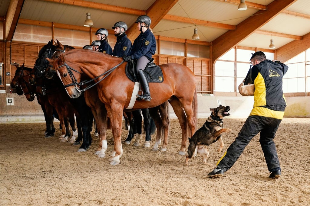 Reiterinnen und Reiter der Mannheimer Polizeireiterstaffel.