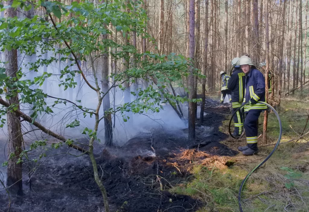 Der dritte Einsatz für Klietz innerhalb von 24 Stunden führte am Sonntagnachmittag in Richtung Mahlitz: In einer Kiefernschonung brannte der Waldboden.