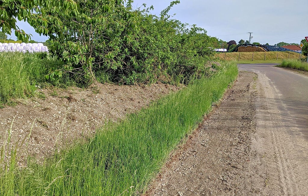 Am Weg zwischen Estedt und Schenkenhorst wurden die Bankette gefräst.
