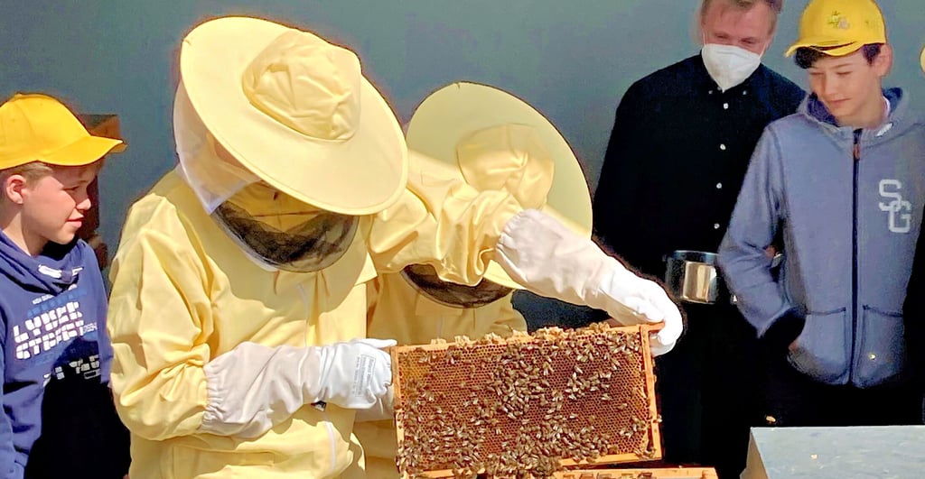 Mark zeigt ein von Bienen besetztes Rähmchen. Er und vier weitere Schüler gehören zum Imkerkurs von Jonas Hiestermann.