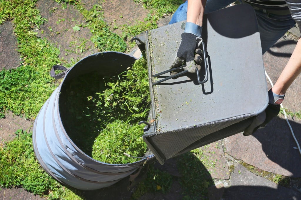 Frisch gemähtes Gras ist im Garten vielseitig einsetzbar - Rasenschnitt eignet sich zum Beispiel zum Mulchen.