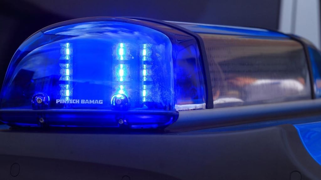 Durch die Zusammenarbeit der Kriminalisten vom Polizeirevier Börde und dem Polizeirevier Jerichower Land konnten gleich zwei Straftaten aufgeklärt werden.