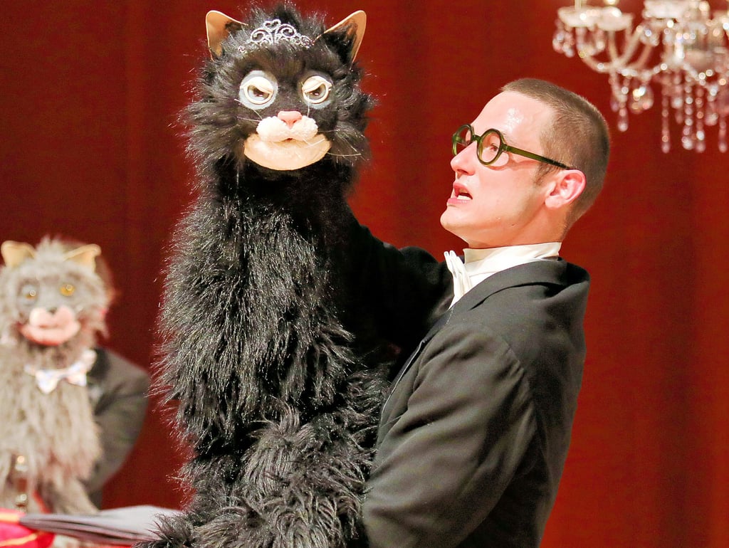 In der Inszenierung ?Das Katzenhaus? spielt Kaspar Weith eine geizige Schlosskatze. Er ist seit dieser Spielzeit neues Mitglied des Puppentheater-Ensembles.