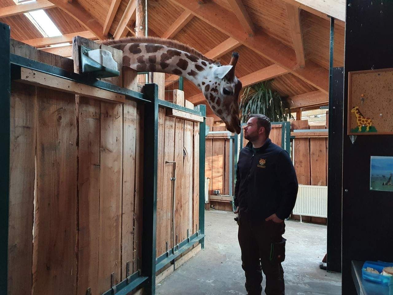 Wie Viel Verdient Man Als Tierpfleger Im Zoo Netto Vom Traumberuf Tierpfleger im Zoo Magdeburg