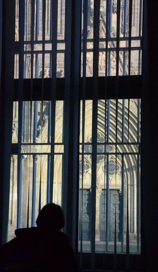 Stadtrat soll Fenster zum Dommuseum öffnen