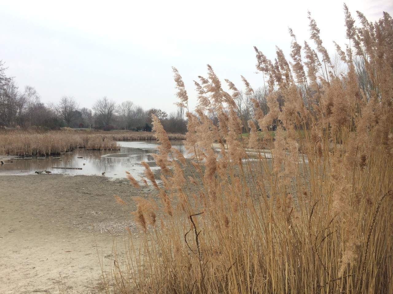 Magdeburger Teich aus
