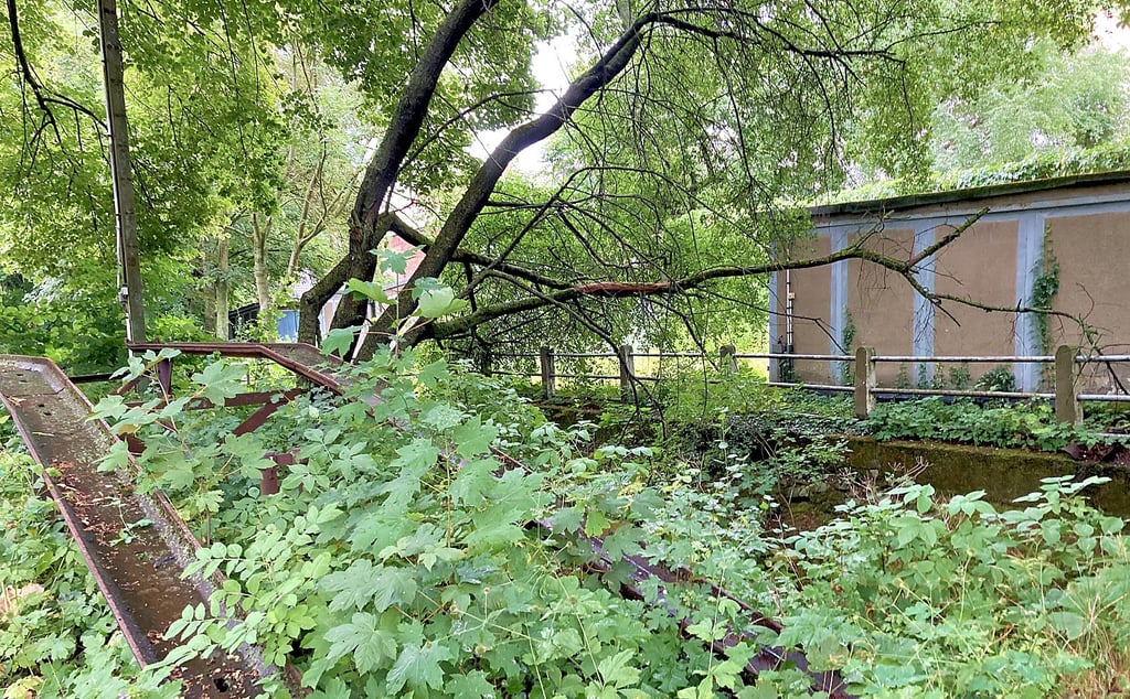 Der Garagenkomplex an der Leipziger Straße umfasst beide Uferbereich der Klinke und soll künftig als Grünfläche öffentlich genutzt werden können.