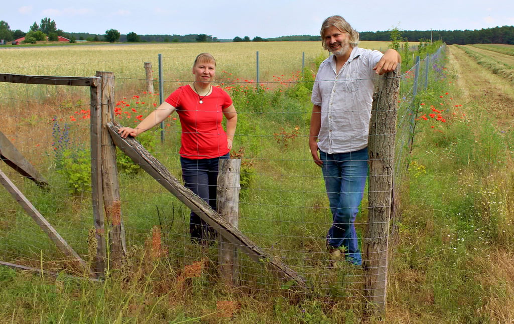 Uta Mitsch und Christian Warnke in einer der jungen Hecken, die noch durch einen Zaun vor Verbiss geschützt werden.