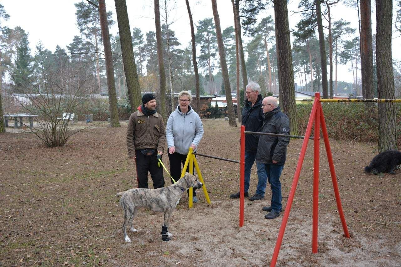 Wolf streift durch Erholungsgebiet