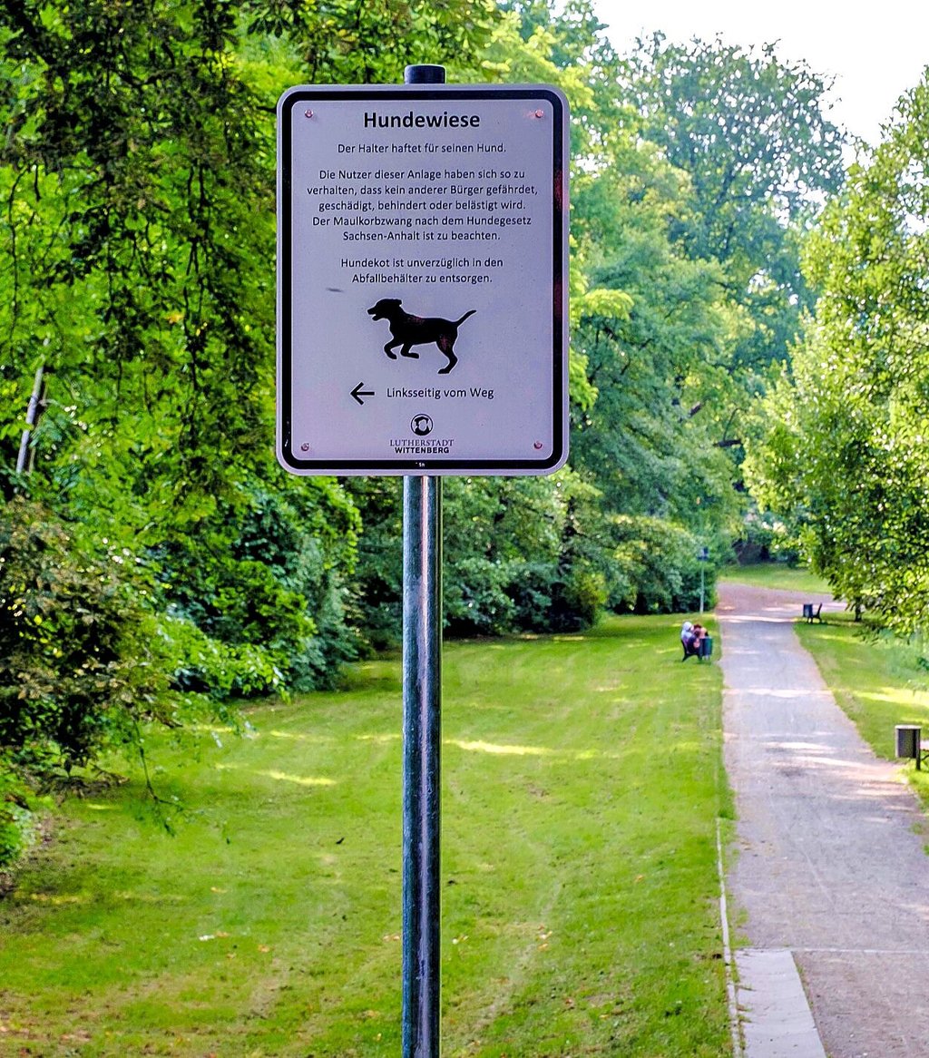 Probewiese. Im Amselgrund dürfen Hunde frei herumlaufen.