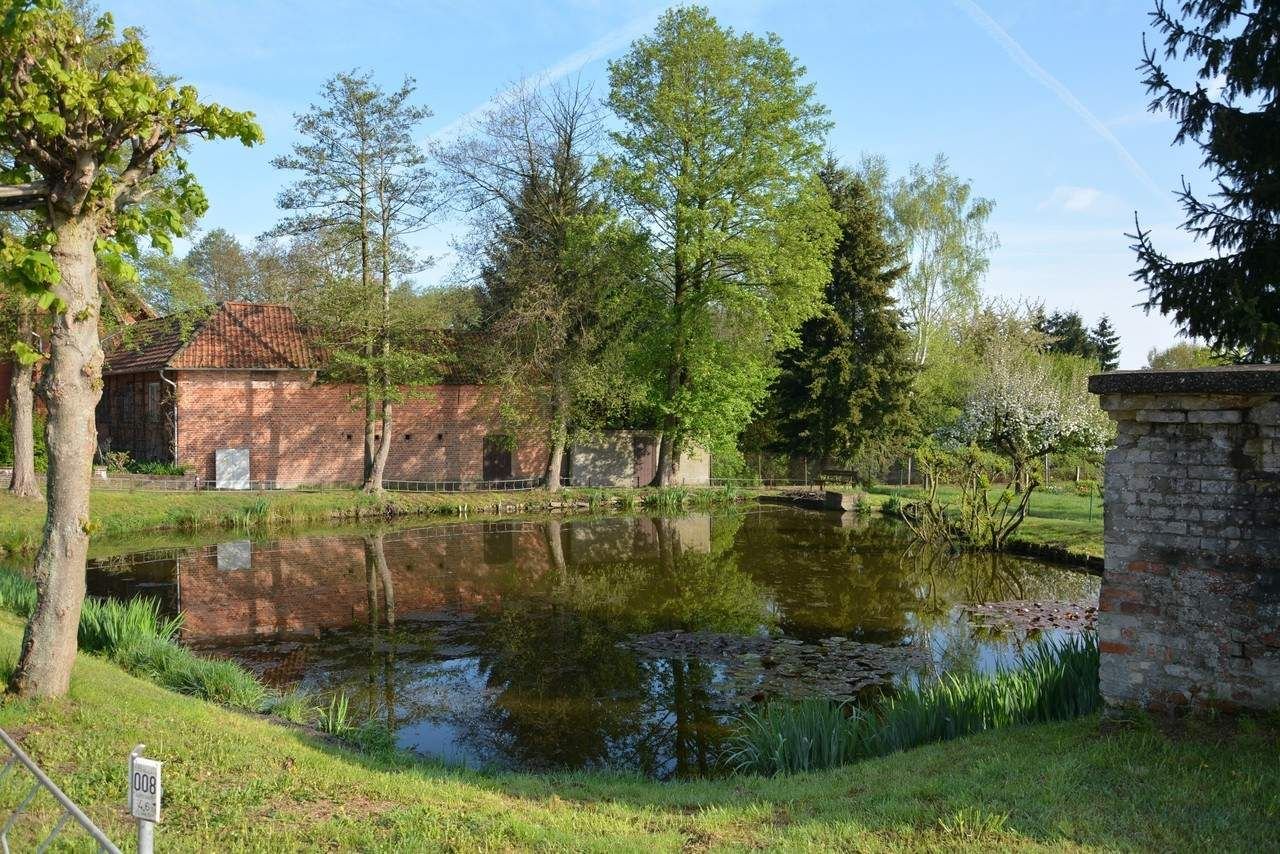 Ein Abfluss für den Teich
