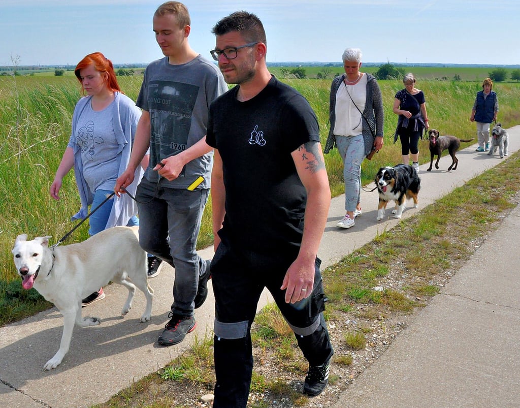 Daniel Roedel (vorn) beim entspannten Meute-Spaziergang in der Neundorfer Feldflur mit Haltern ganz unterschiedlicher Hunderassen.