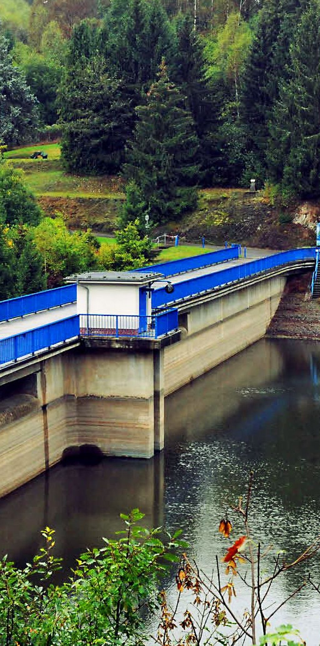 Die Talsperre in Wippra bietet Wasserkäfern Lebensraum.