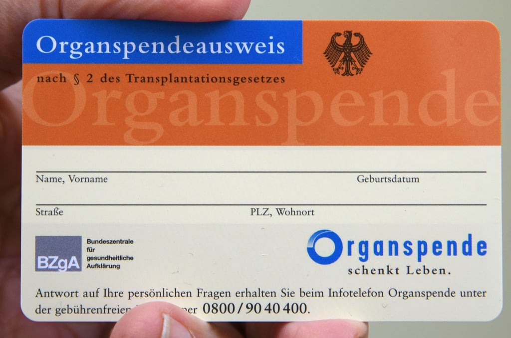 Ein Mann hält einen Organspendeausweis der Bundeszentrale für gesundheitliche Aufklärung in den Händen.