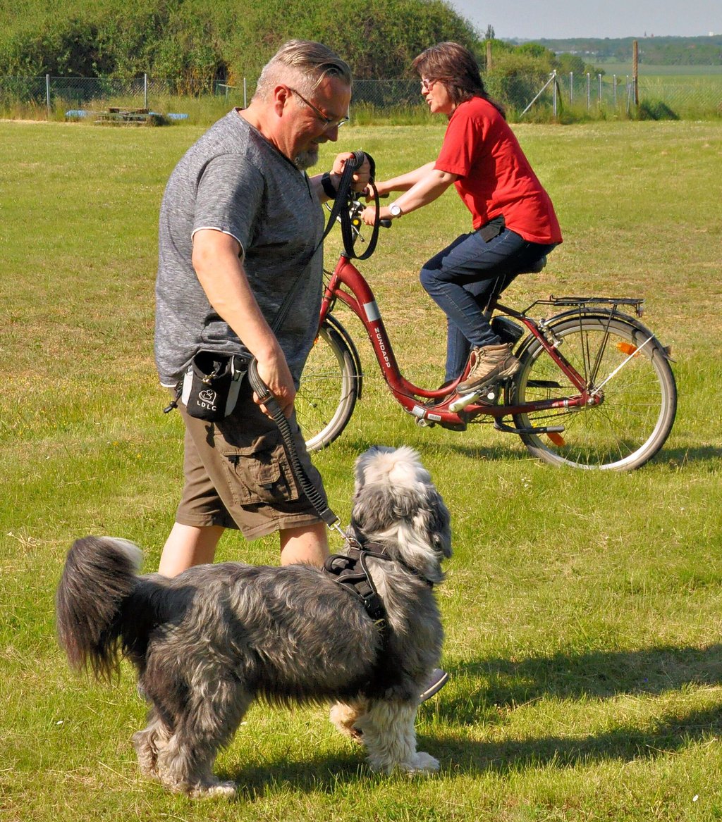 Andrea Schirmer beim „Fahrrad-Training" mit Heiko Trostdorf und Hütehund Paula auf dem Platz zwischen Groß Börnecke und Schneidlingen.