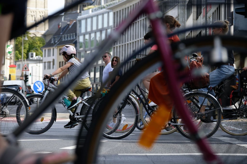 Große und kleine Radfahrer fahren auf einer Fahrraddemo durch die Stadt.